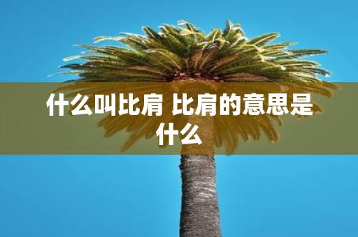 什么叫比肩 比肩的意思是什么