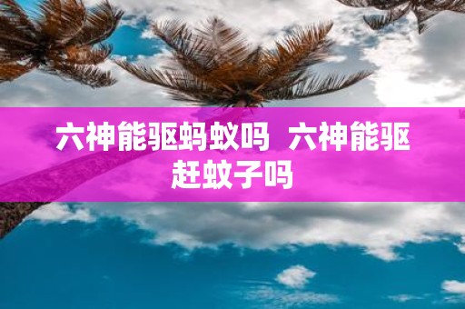 六神能驱蚂蚁吗 六神能驱赶蚊子吗