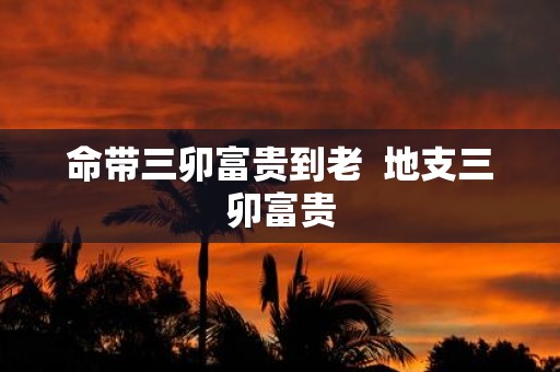 命带三卯富贵到老 地支三卯富贵
