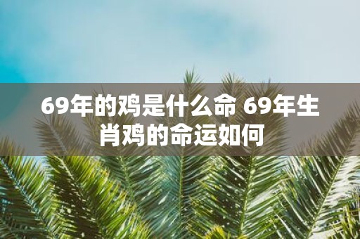 69年的鸡是什么命 69年生肖鸡的命运如何