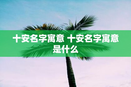 十安名字寓意 十安名字寓意是什么