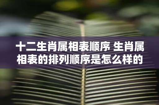 十二生肖属相表顺序 生肖属相表的排列顺序是怎么样的