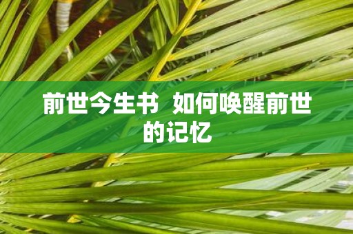 前世今生书 如何唤醒前世的记忆