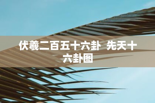 伏羲二百五十六卦 先天十六卦图