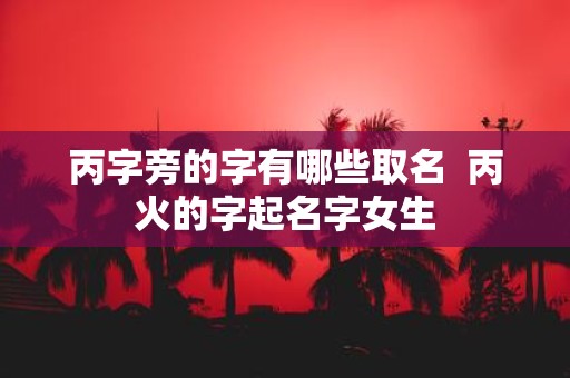 丙字旁的字有哪些取名 丙火的字起名字女生