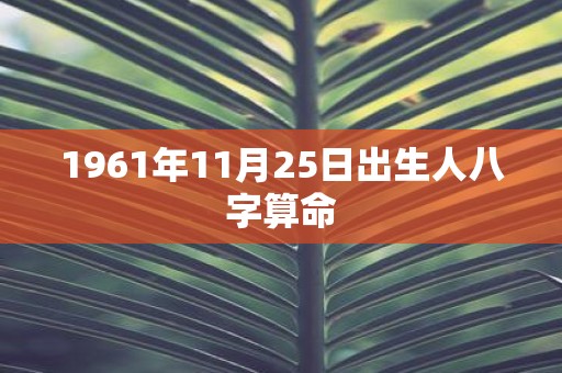 1961年11月25日出生人八字算命