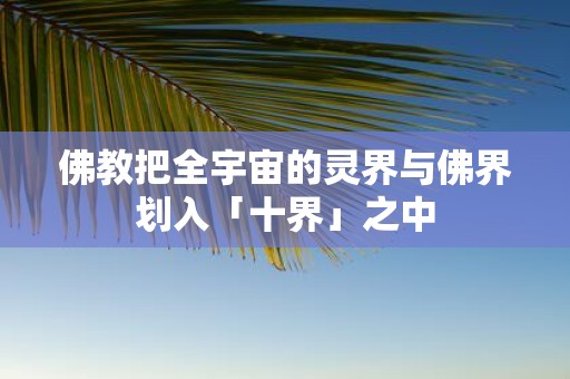 佛教把全宇宙的灵界与佛界划入「十界」之中