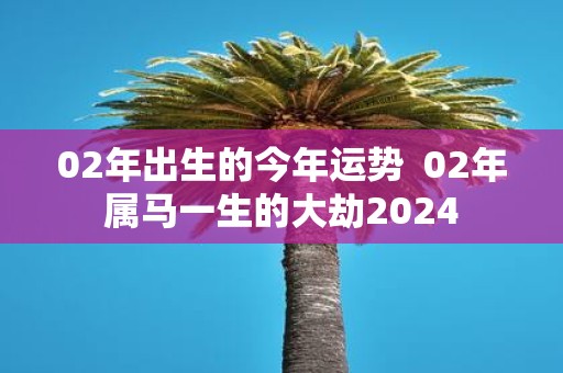 02年出生的今年运势 02年属马一生的大劫2025