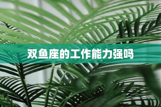 双鱼座的工作能力强吗
