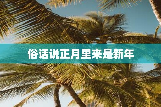 俗话说正月里来是新年