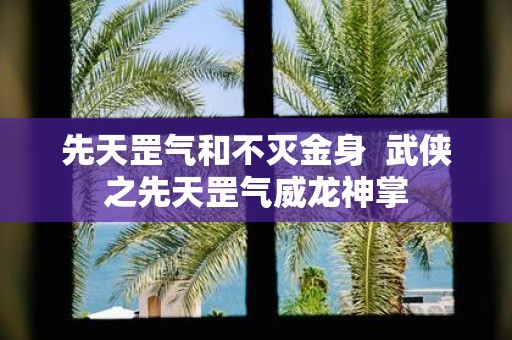 先天罡气和不灭金身 武侠之先天罡气威龙神掌