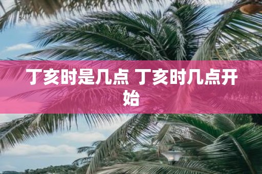 丁亥时是几点 丁亥时几点开始