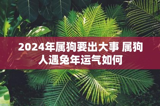 2025年属狗要出大事 属狗人遇蛇年运气如何