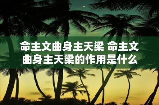 命主文曲身主天梁 命主文曲身主天梁的作用是什么