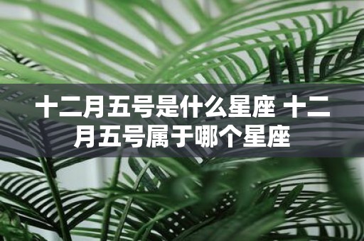 十二月五号是什么星座 十二月五号属于哪个星座