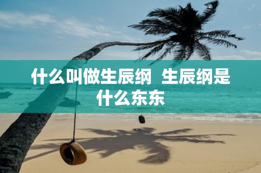 什么叫做生辰纲 生辰纲是什么东东