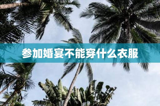参加婚宴不能穿什么衣服