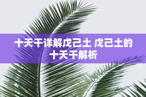 十天干详解戊己土 戊己土的十天干解析