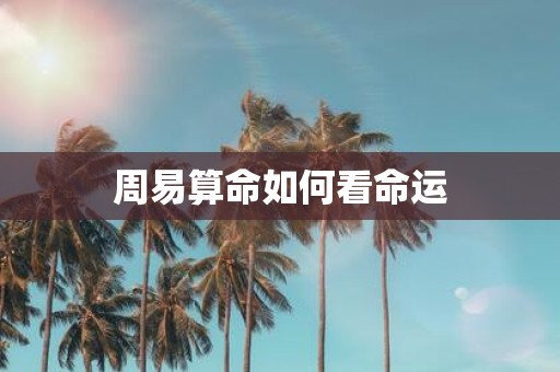 周易算命如何看命运
