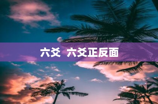 六爻 六爻正反面
