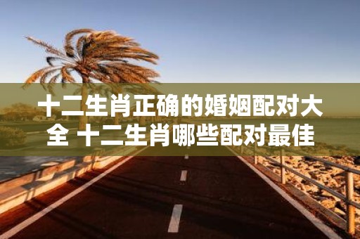 十二生肖正确的婚姻配对大全 十二生肖哪些配对最佳