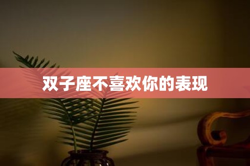 双子座不喜欢你的表现