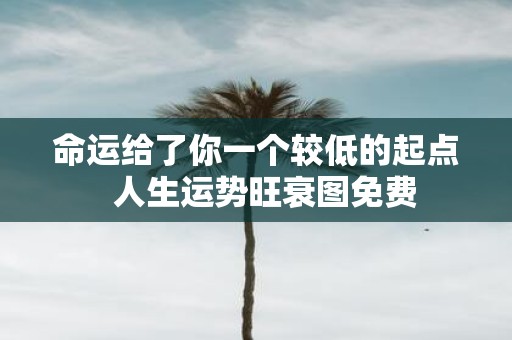 命运给了你一个较低的起点 人生运势旺衰图免费