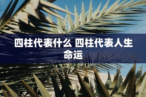 四柱代表什么 四柱代表人生命运