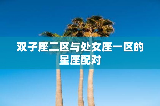 双子座二区与处女座一区的星座配对