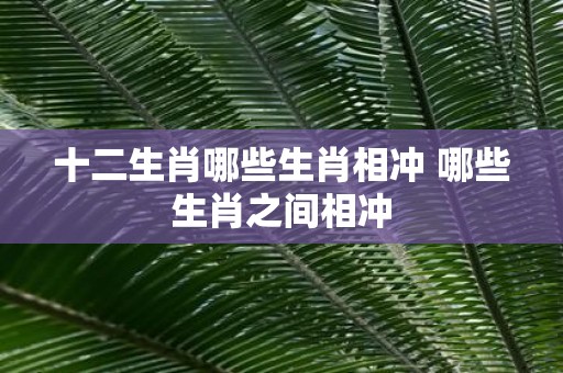 十二生肖哪些生肖相冲 哪些生肖之间相冲