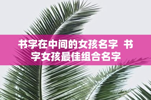 书字在中间的女孩名字 书字女孩最佳组合名字