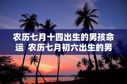 农历七月十四出生的男孩命运 农历七月初六出生的男孩命运