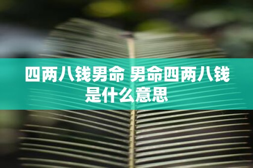 四两八钱男命 男命四两八钱是什么意思