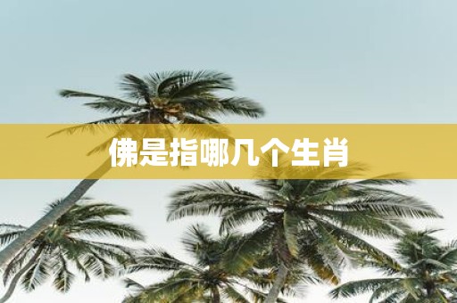佛是指哪几个生肖