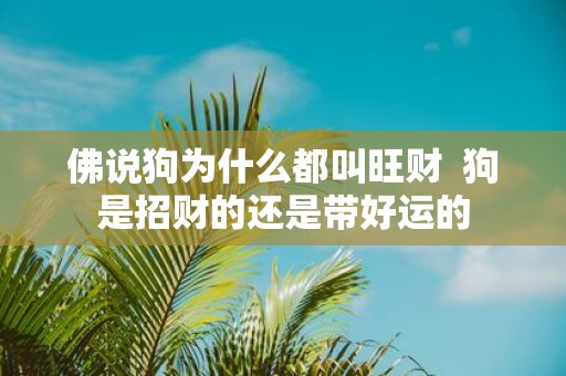 佛说狗为什么都叫旺财 狗是招财的还是带好运的