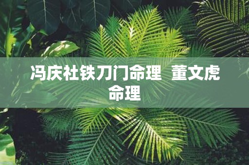 冯庆社铁刀门命理 董文虎命理