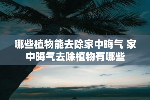 哪些植物能去除家中晦气 家中晦气去除植物有哪些