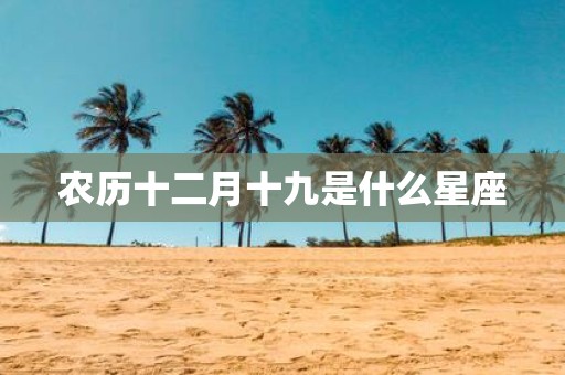 农历十二月十九是什么星座