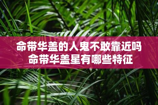 命带华盖的人鬼不敢靠近吗 命带华盖星有哪些特征