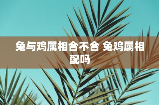 兔与鸡属相合不合 兔鸡属相配吗