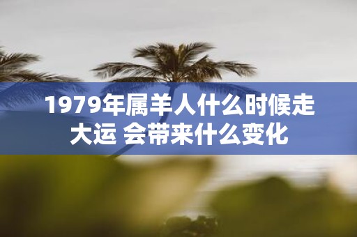 1979年属羊人什么时候走大运 会带来什么变化