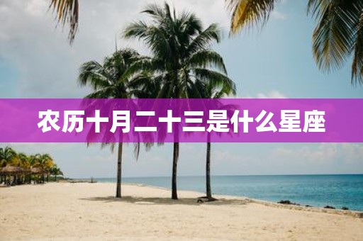 农历十月二十三是什么星座