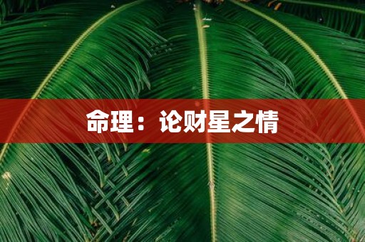 命理：论财星之情