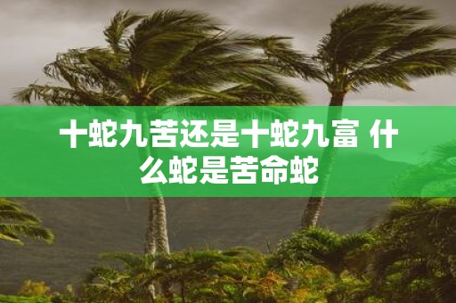 十蛇九苦还是十蛇九富 什么蛇是苦命蛇