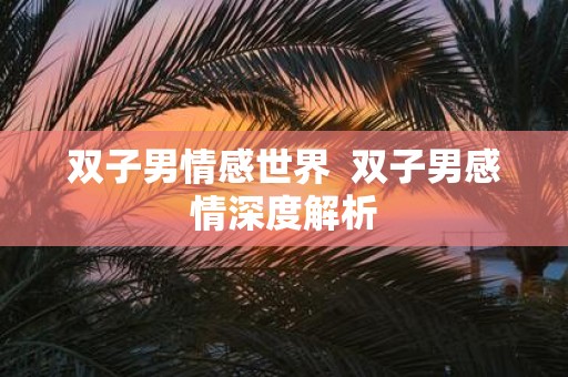 双子男情感世界 双子男感情深度解析
