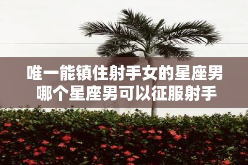 唯一能镇住射手女的星座男 哪个星座男可以征服射手女