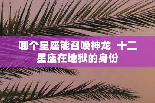 哪个星座能召唤神龙 十二星座在地狱的身份
