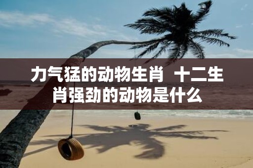 力气猛的动物生肖 十二生肖强劲的动物是什么