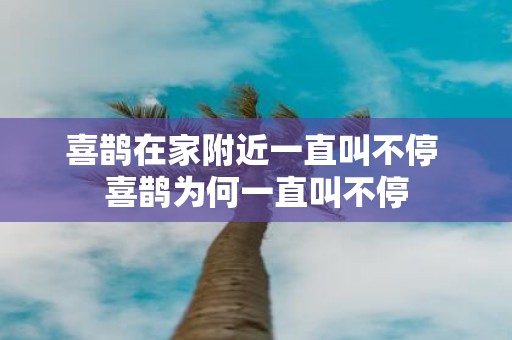 喜鹊在家附近一直叫不停 喜鹊为何一直叫不停