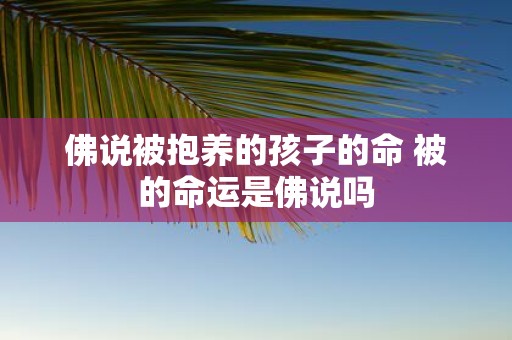 佛说被抱养的孩子的命 被的命运是佛说吗